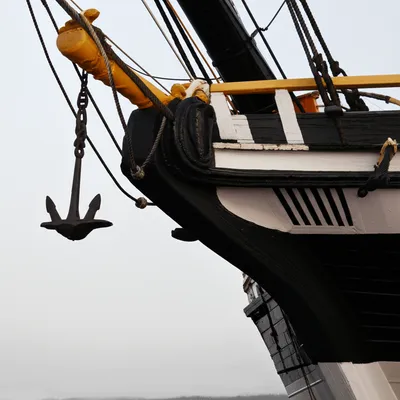 Illustration cat - Image 1