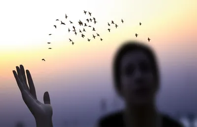 Illustration losing - Image 1