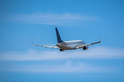 Illustration tailfins - Image 1