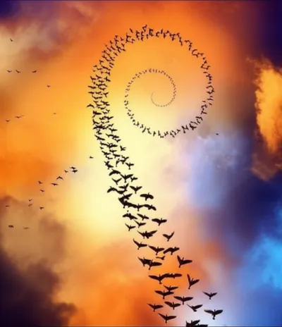 Illustration rings - Image 1