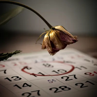 Illustration deferred - Image 1