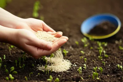 Illustration gives - Image 1