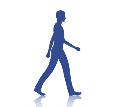 Illustration foot - Image 1