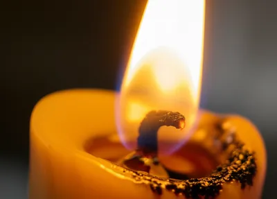 Illustration wicks - Image 1