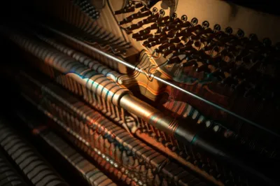 Illustration beaten - Image 1