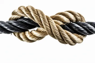 Illustration ties - Image 1