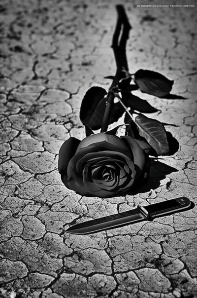 Illustration terminate - Image 1