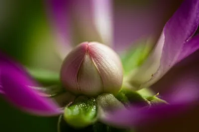 Illustration receptacles - Image 1