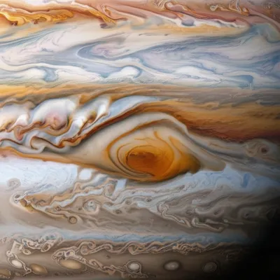 Illustration festoons - Image 1