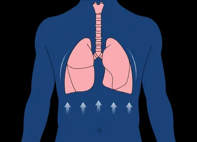 Illustration breathing - Image 1