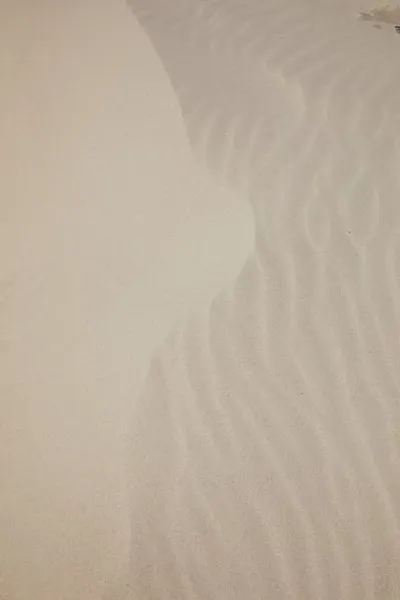 Illustration untouched - Image 2