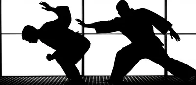 Illustration jujitsu - Image 1