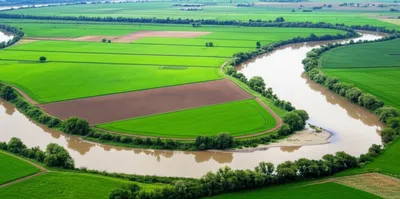 Illustration bottoms - Image 1