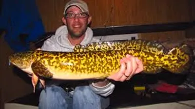 Illustration pout - Image 2