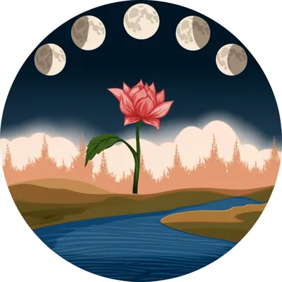 Illustration courses - Image 1