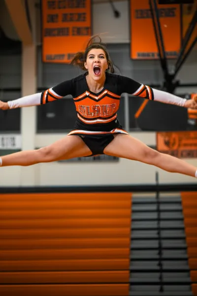 Illustration tiger - Image 1