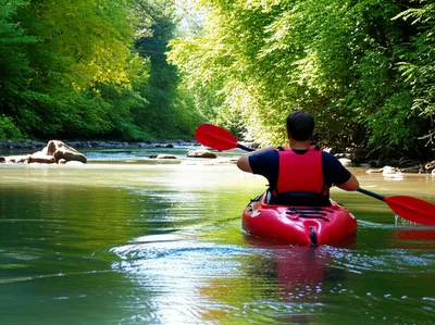 Illustration rudder - Image 1