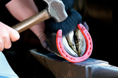 Illustration committed - Image 1