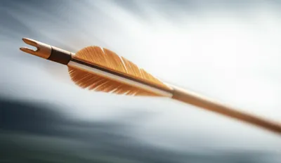 Illustration fletched