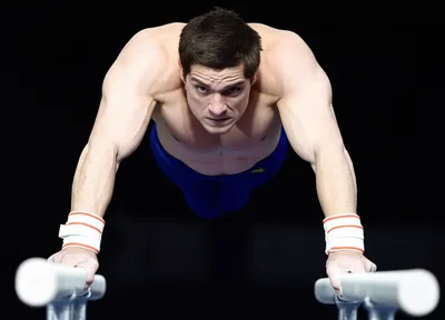 Illustration dips - Image 1