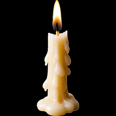 Illustration wax - Image 1