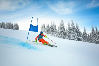 Illustration alpine - Image 1