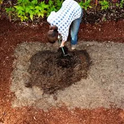 Illustration amend - Image 3