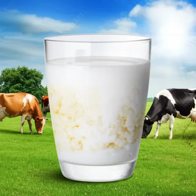 Illustration earned - Image 1