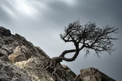 Illustration abided - Image 1