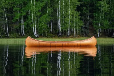 Illustration birches - Image 1