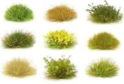 Illustration tuft - Image 2