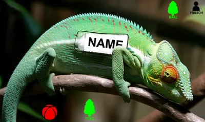 Illustration noun - Image 1