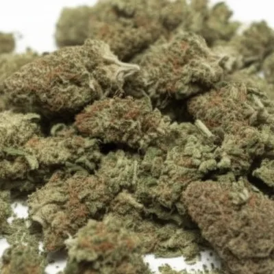 Illustration schwag - Image 1