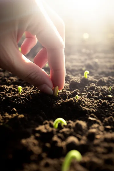 Illustration gave - Image 1