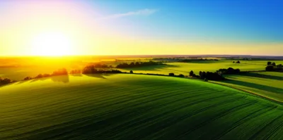 Illustration darkens - Image 1