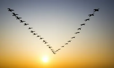 Illustration converged - Image 1