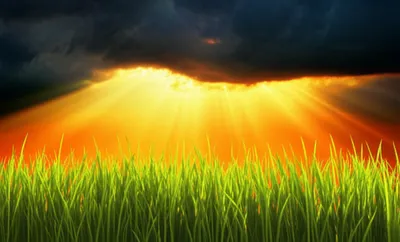 Illustration energized