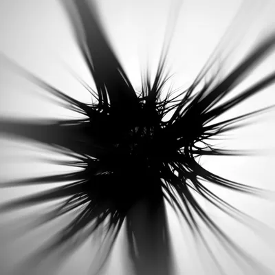 Illustration gross - Image 1