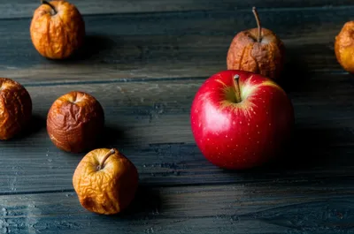 Illustration last - Image 1