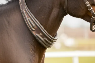 Illustration wales - Image 1