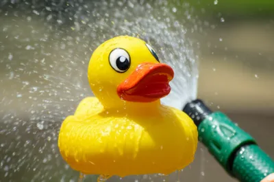 Illustration squirts - Image 1