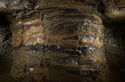 Illustration bind - Image 1