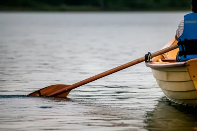 Illustration strokes - Image 1