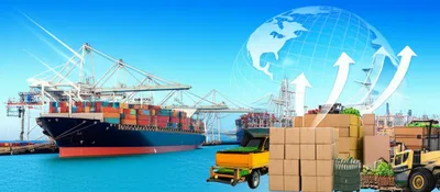 Illustration exports - Image 1