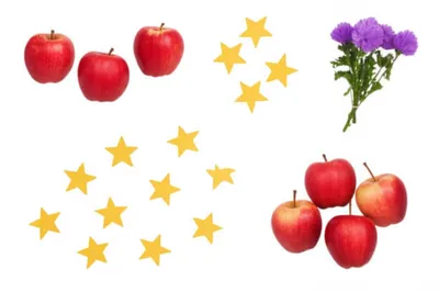 Illustration cardinals - Image 1