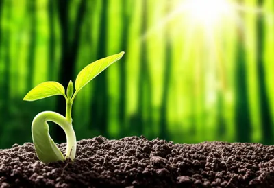 Illustration potentiality - Image 1