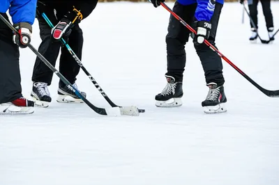 Illustration shinny - Image 1