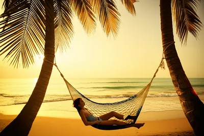 Illustration resolved - Image 1