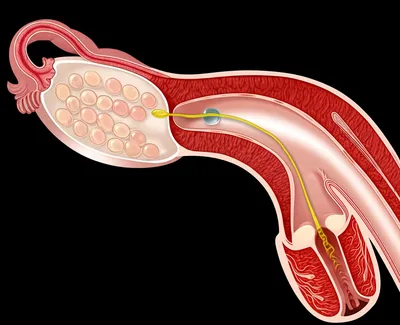 Illustration unloading - Image 1