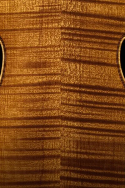 Illustration flame - Image 1